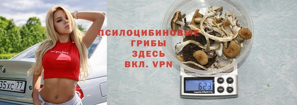 бутират Алзамай