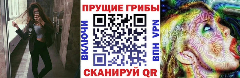 Псилоцибиновые грибы GOLDEN TEACHER  Реж 